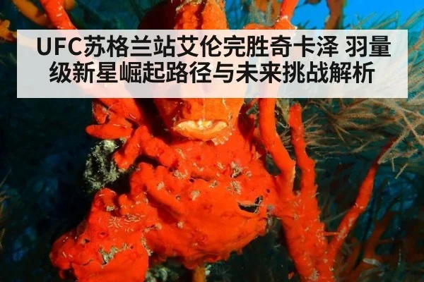 UFC苏格兰站艾伦完胜奇卡泽 羽量级新星崛起路径与未来挑战解析
