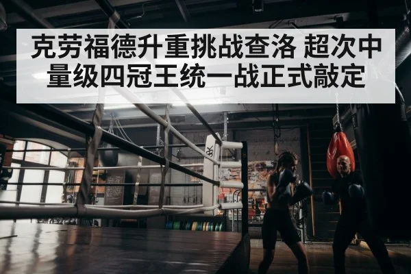 boxer training